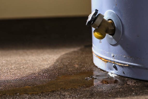 Best Water damage contractors near me  in Douglasville, GA