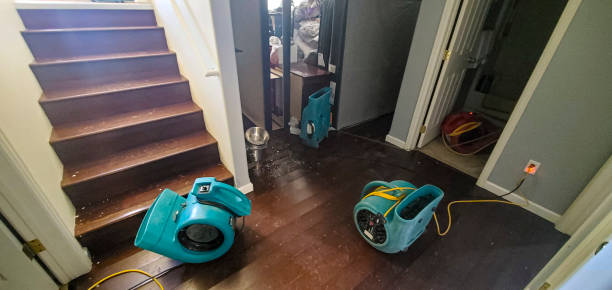 Best Water damage cleanup near me  in Douglasville, GA