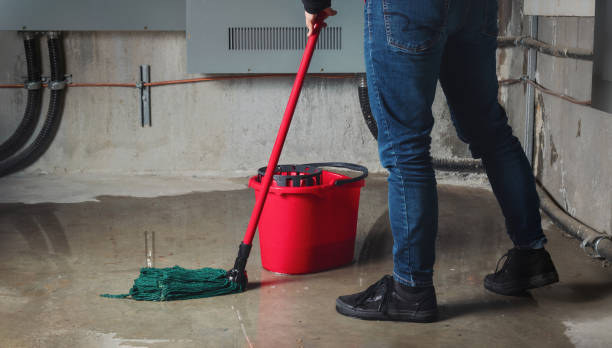 Best Carpet water damage restoration  in Douglasville, GA