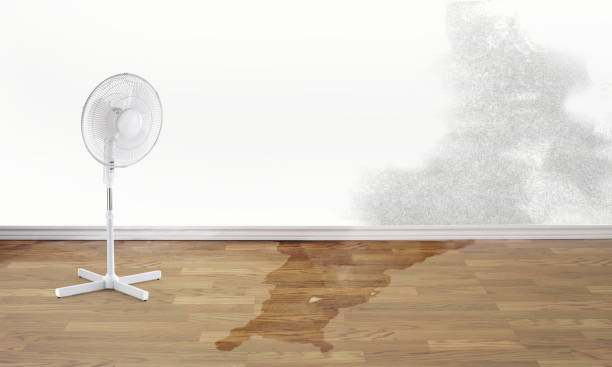 Best 24-hour water damage restoration  in Douglasville, GA
