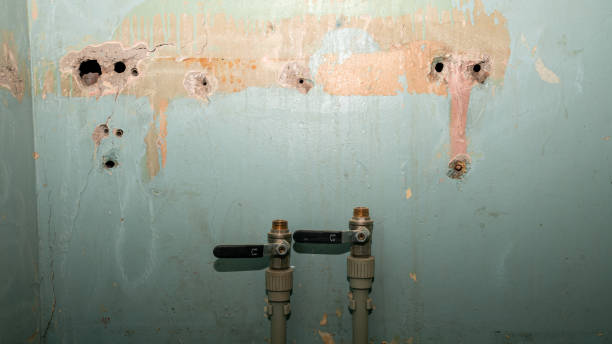 Best Mold removal after water damage  in Douglasville, GA