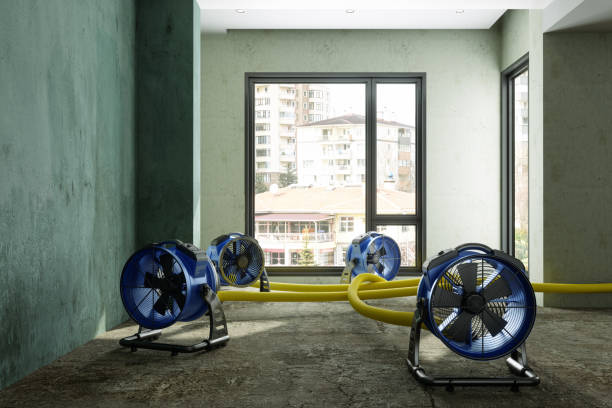 Best Sewage cleanup and water damage restoration  in Douglasville, GA